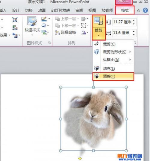 PowerPoint2010怎么自定义插入图片的样式